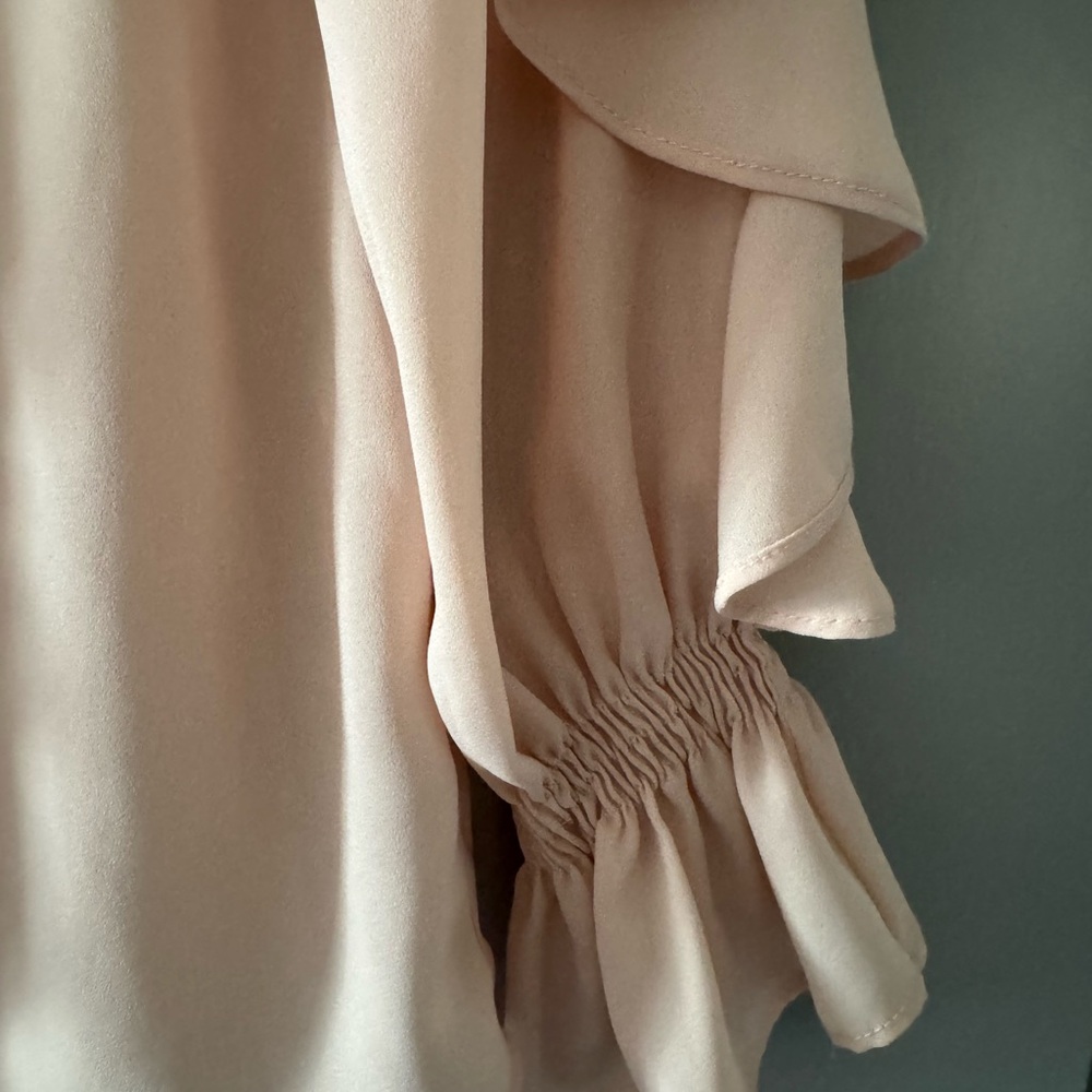 Zara Blush Ruffled Blouse - Picture 6 of 8